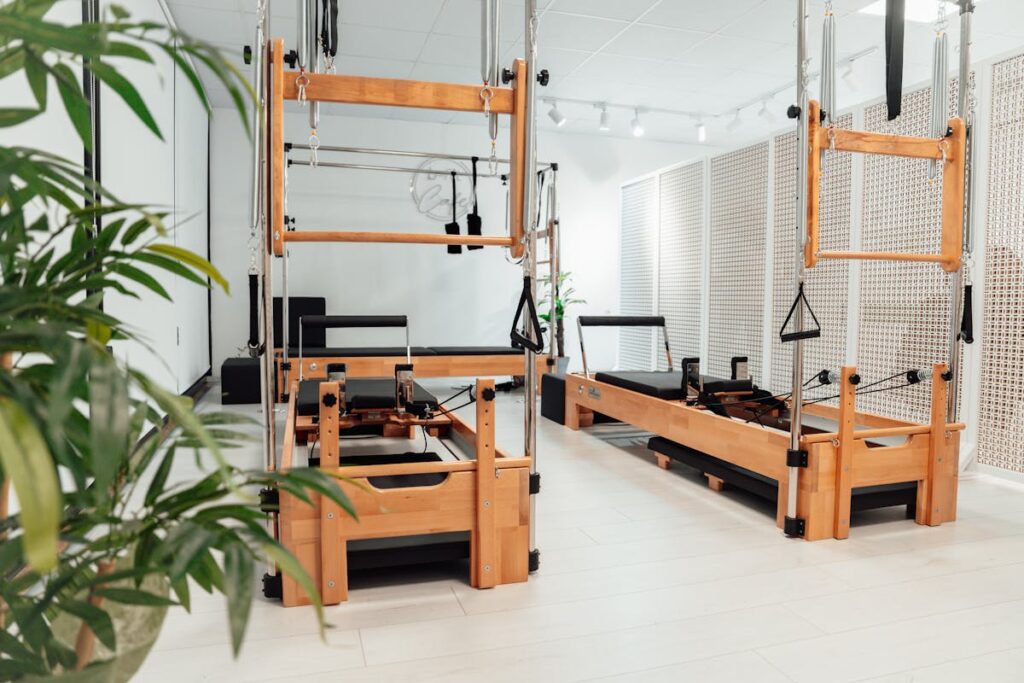 10 Best Indoor Plants for Your Home Gym Wall